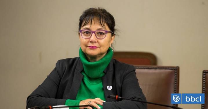 Carolina Marzán renuncia al PPD tras perder candidatura por el Senado en la región de Valparaíso