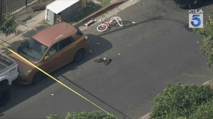 Man who attacked cars with metal wires fatally shot by Los Angeles police