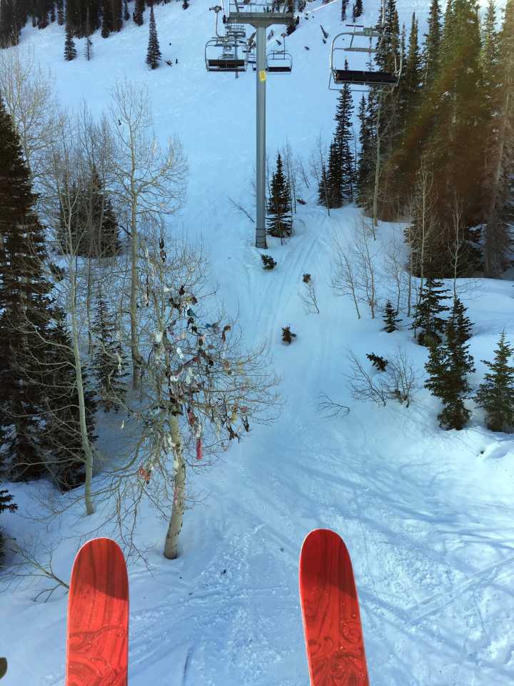 Skiers have been throwing underwear into trees since the 1950s