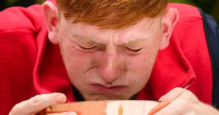 I'm a Celeb review: We have a new favourite and all it took was some crocodile bum