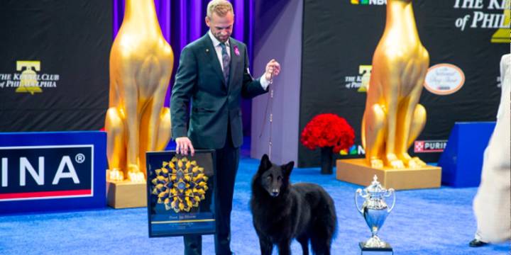 National Dog Show ‘Best In Show’ winner trained in Johnston County