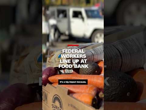'We have to choose to feed ourselves or pay the bills’: Federal workers line up at food bank