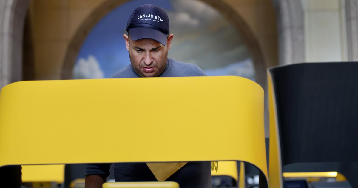 To beat the election day rush: Here's how to vote today in California