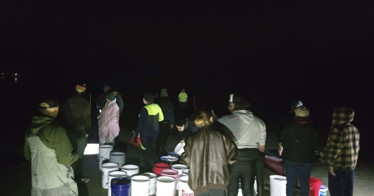 Humpback whale stranded in Yachats sparks urgent rescue effort