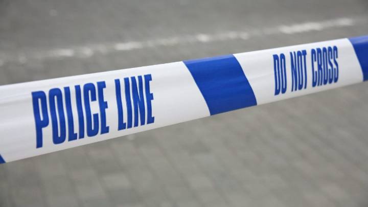 Nine-month-old baby dies after 'dog attack' in Wales