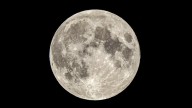 Superluna de castor: cuándo es y cómo verla