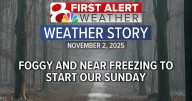 Forecast: Dense fog to start the morning