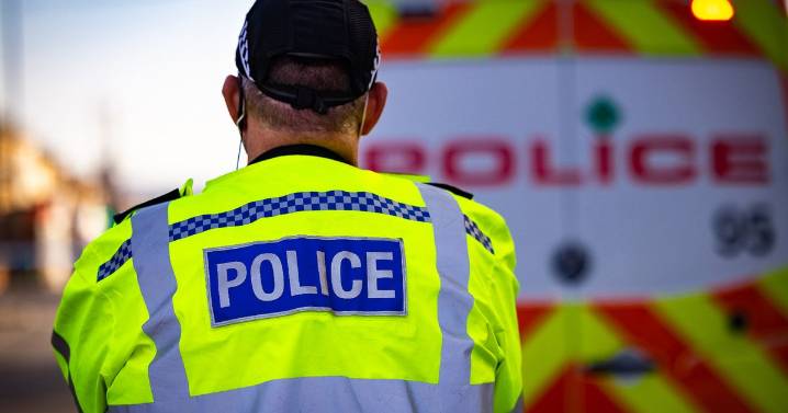 Bristol school lunches stolen by masked thief