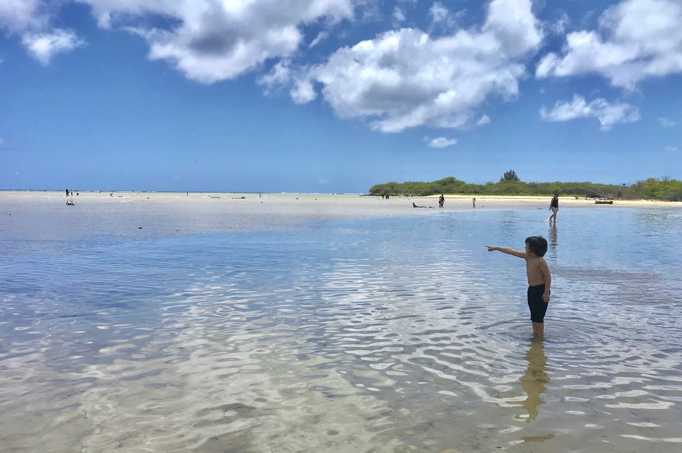 Educate The Public On The Best Ways To Protect Our Fisheries