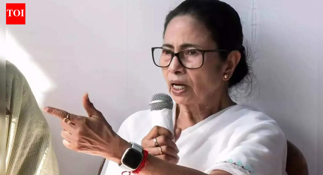 28 people have died since SIR began: Mamata Banerjee; West Bengal CM terms it 'inhuman' pressure on field workers