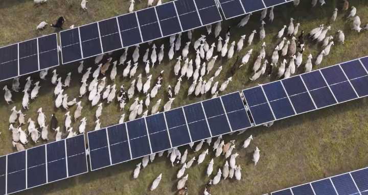 Midwest's largest battery energy storage site to be built in central Minnesota