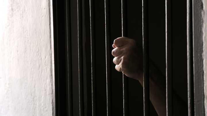 Ucrania propone repatriación de mercenarios cubanos usados por Rusia como "carne de cañón" a cambio de 19 presos políticos