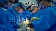Doctors say they’re ‘measurably closer’ to making pig kidneys work for humans