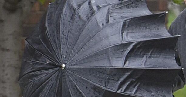 Meteorologists warn of wind gusting in Hamilton area