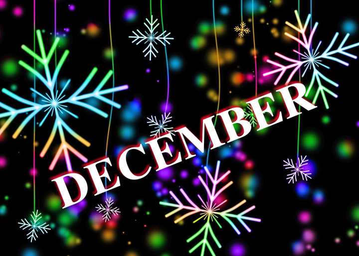 Top seasonal things to do in December in Palm Beach County