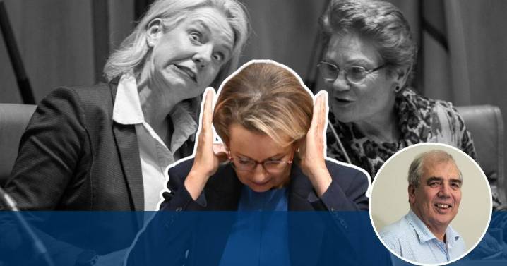 Jack Waterford | Ousting Sussan Ley won't help the Liberals