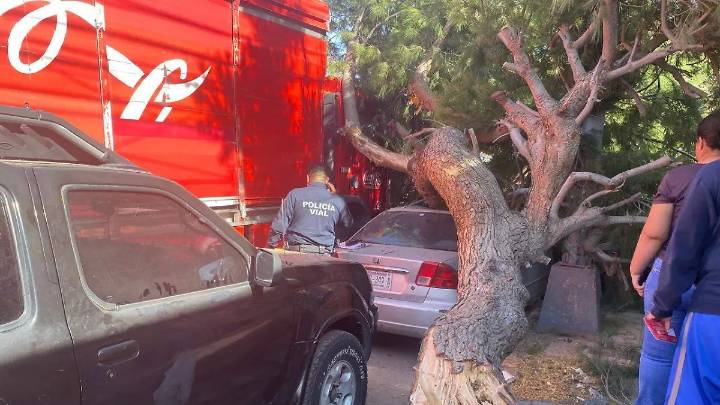 Tráiler de Coca-Cola derriba árbol y daña vehículo en la colonia Mármol III