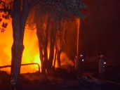 Delhi: Major fire breaks out in Tikri Kalan Industrial Area