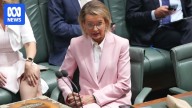 Sussan Ley almost certain to face challenge next year, detractors say