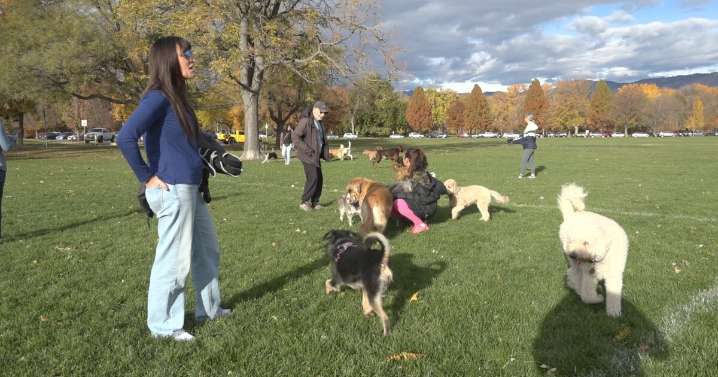 Dog owners are grateful for seasonal off-leash privileges in Boise