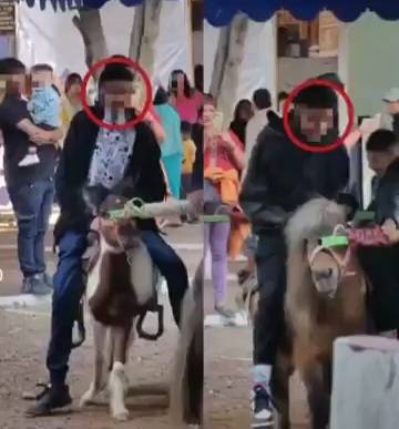 Demanda OCPA intervención de PROPAET por maltrato animal en Tlaxcala