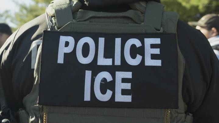 Video shows immigration agent punching restrained man after car collision turns into confrontation