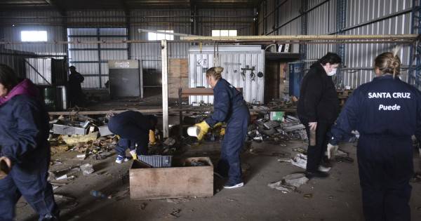 Inició el acondicionamiento del nuevo predio de Santa Cruz Puede