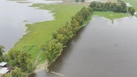 El Gobierno nacional declaró la “emergencia agropecuaria” en Río Negro, Entre Ríos y Buenos Aires