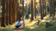 Seis aventuras naturales para padres con espíritu viajero