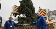 'Miserable excuse for a Christmas tree' being replaced after being branded 'embarrassment for Yarm'