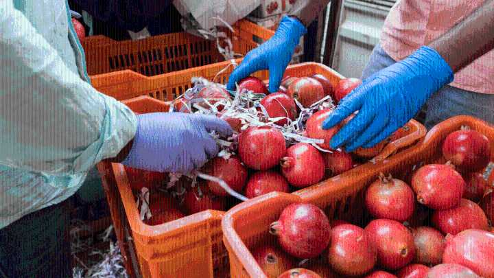 Price wars between quick-delivery firms hits Eternal & Swiggy shares