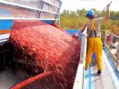 How Americans spend $2 billion on food for Thanksgiving