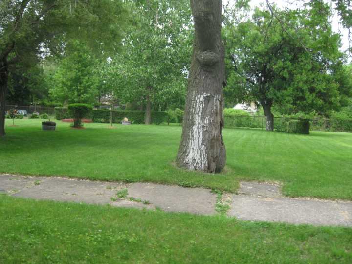 The Metro: The case for a Detroit land conservancy