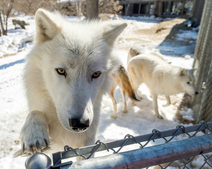 Give to the Max Day aims to raise $37M Thursday for nonprofits, schools