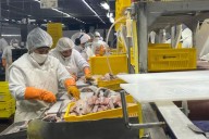 El affaire del langostino. Acuerdo millonario tras acusaciones de corrupción y una demanda en EE.UU.