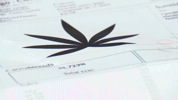Upstate hemp business owners fear possible federal crackdown