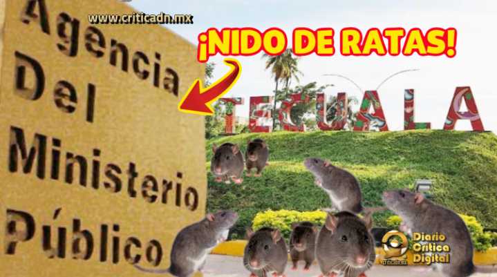 Familia vive años de terror en Tecuala: denuncian corrupción, amenazas y violencia