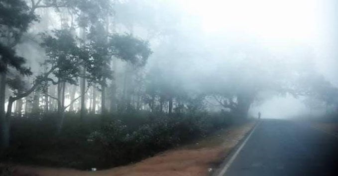Night Temp Drops To 12.4°C In Odisha; Further Dip In Mercury Expected Over 2 Days