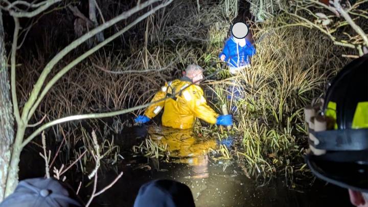 Person rescued from swamp off 128 in Manchester by the Sea, Mass.