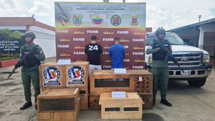 Detenidos en flagrancia por tráfico de fauna silvestre