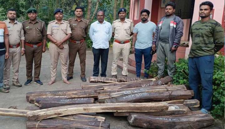Forest Dept Cracks Down On Illegal Timber Trade; Four Arrested In Malkangiri