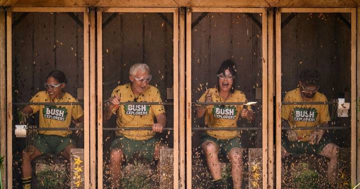 Ant interrupts Dec on ITV's I'm A Celeb as co-host narrowly misses huge blunder