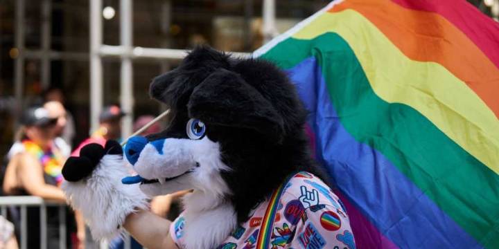 'Furry' Democrat running for Congress celebrated Kirk assassination, wants to put MAGA voters in 'hard labor camps'