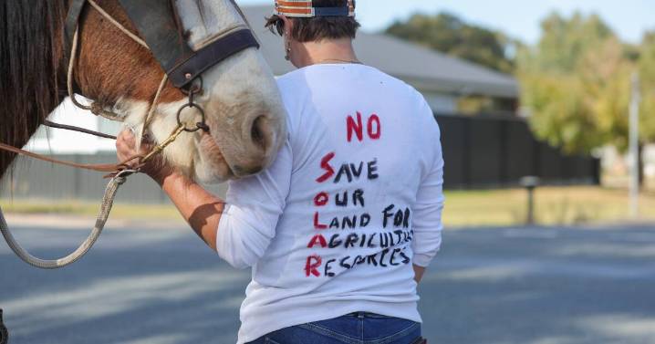 Meadow Creek solar farm approval leaves sour taste for objectors