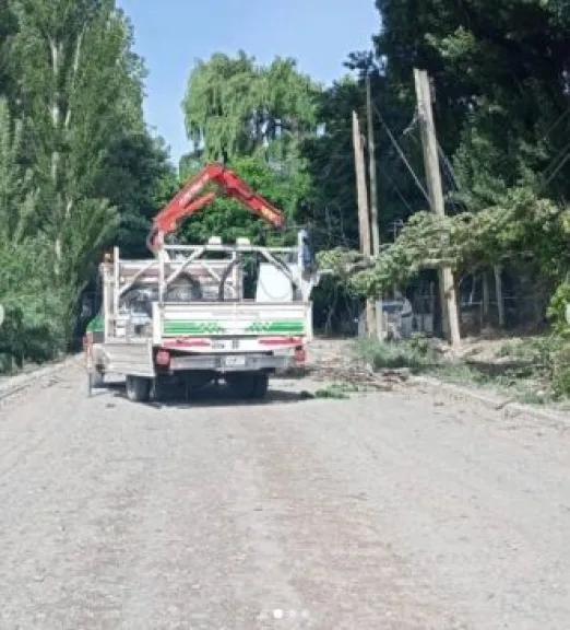 Caída de árboles y cortes de energía: intensos trabajos de Defensa Civil por el viento en Plottier