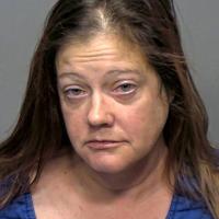 Intoxicated woman enters Portage home uninvited to use bathroom, police say