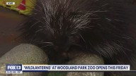WildLanterns at Woodland Park Zoo opens Friday