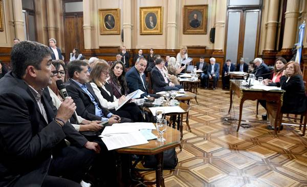 La reforma de los DNU puede volver al Senado: cuándo se tratará