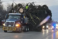 Local couple shares story of Peoria Riverfront Museum’s 75