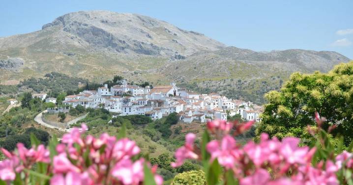 No seas de los que aún no lo conoce: este pequeño pueblo de Málaga parece sacado de una postal otoñal